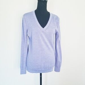 Banana Republic Vee Neck Sweater Extra Fine Merino Wool Blue Lavender S